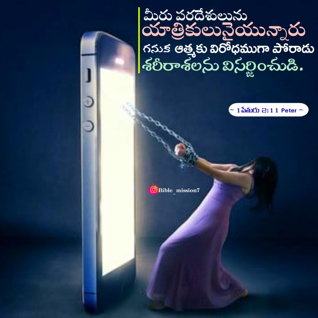 1 Peter పేతురు 2:11