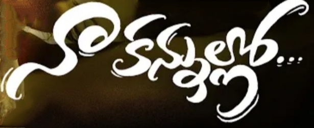 Naa Kannulo Song Lyrics