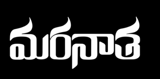 Ne Siddapadi Diddukoni Song Lyrics