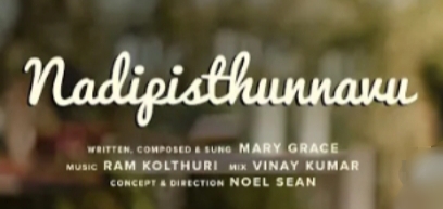 Nadipistunnavu Song Lyrics