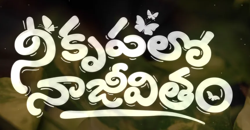 Nee Krupalo Naa Jeevitham Song Lyrics